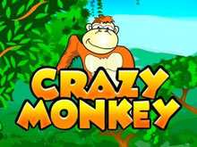 Crazy Monkey